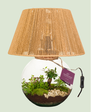 Terrarium Abat-jour
