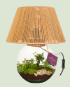 Terrarium Abat-jour