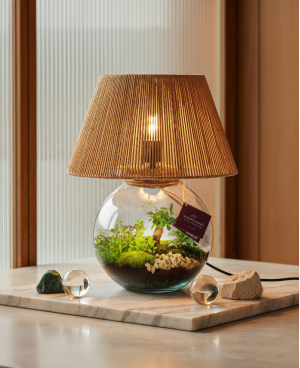 Terrarium Abat-jour