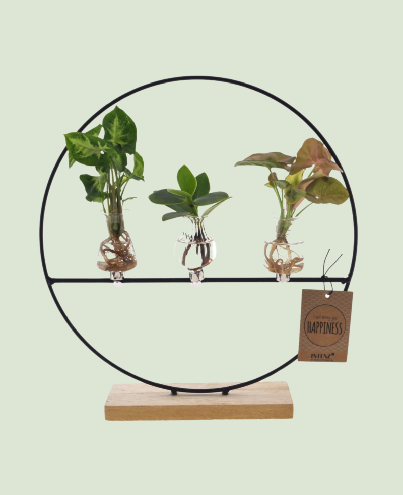 Arrangement Trio