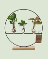 Arrangement Trio