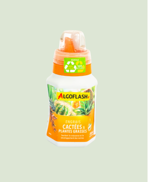 Engrais Cactée et Plantes Grasses 250 ml