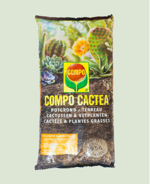 Compo Terreaux cactée et plantes grasses 5L