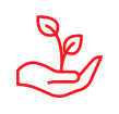growth